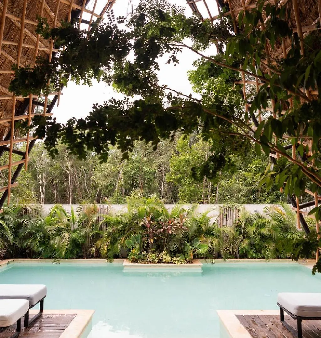 The Alux Tulum Beach Club Access
